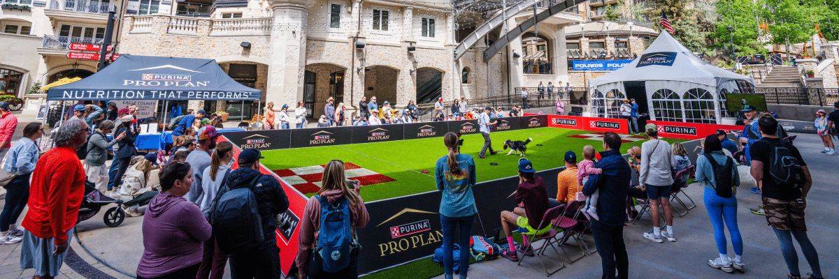 Purina Pro Plan Incredible Dog Challenge Experience