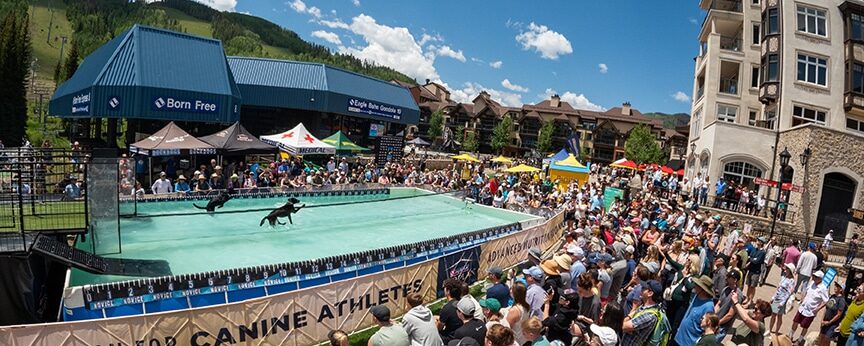 Purina Pro Plan Dog Town