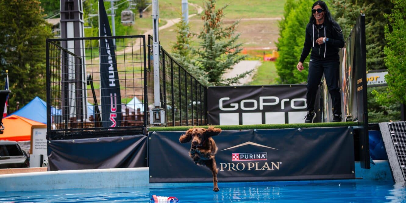 Dog Days of Summer: Your Guide to Dogs at the 2026 GoPro Mountain Games